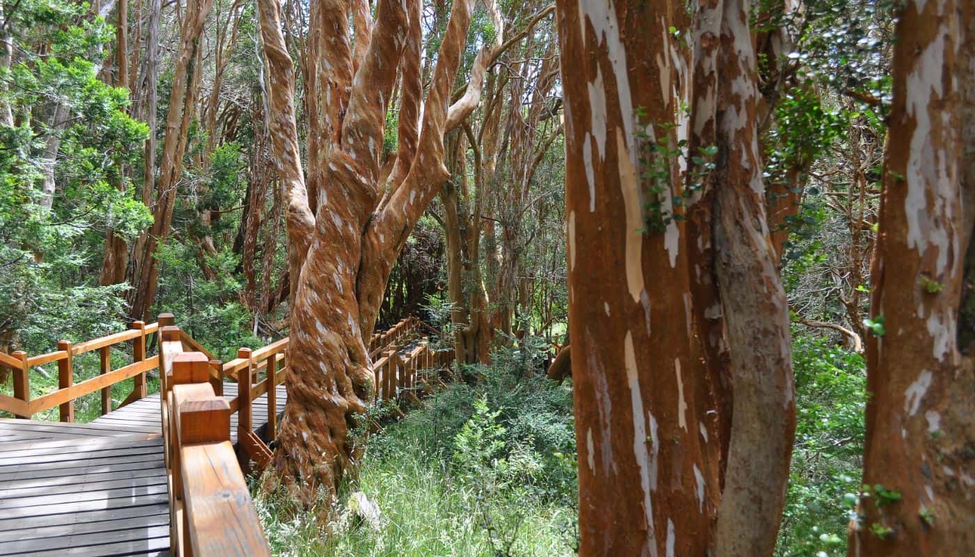 11 Must-See National Parks in Argentina (2025)