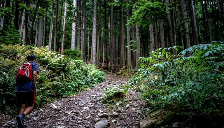 grouse grind hike vancouver
