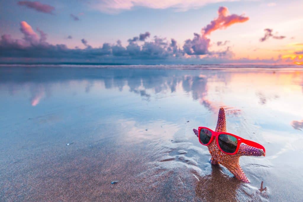 Starfish in sunglasses at double six beach seminyak