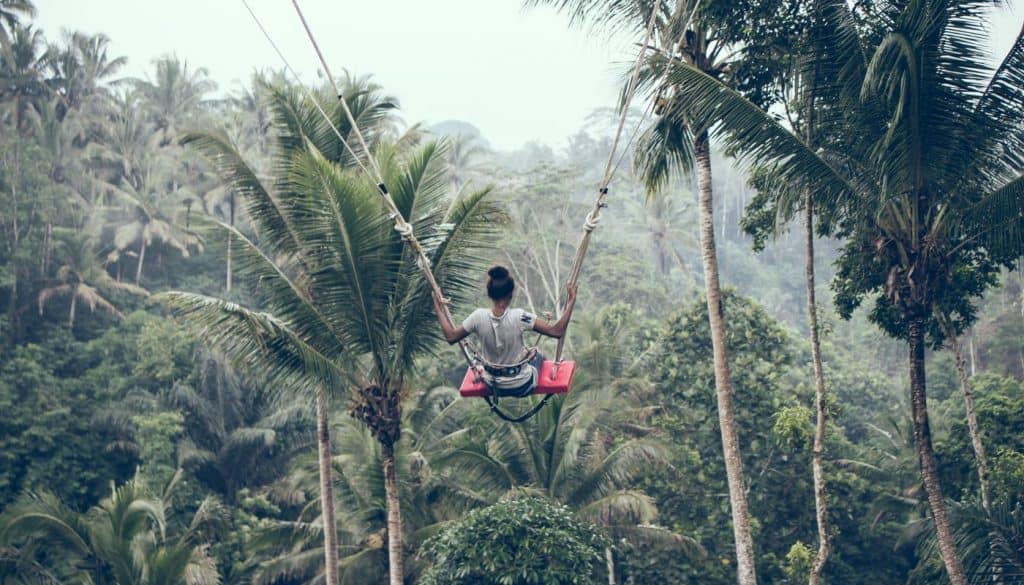 tegalalang rice terrace swing bali SP