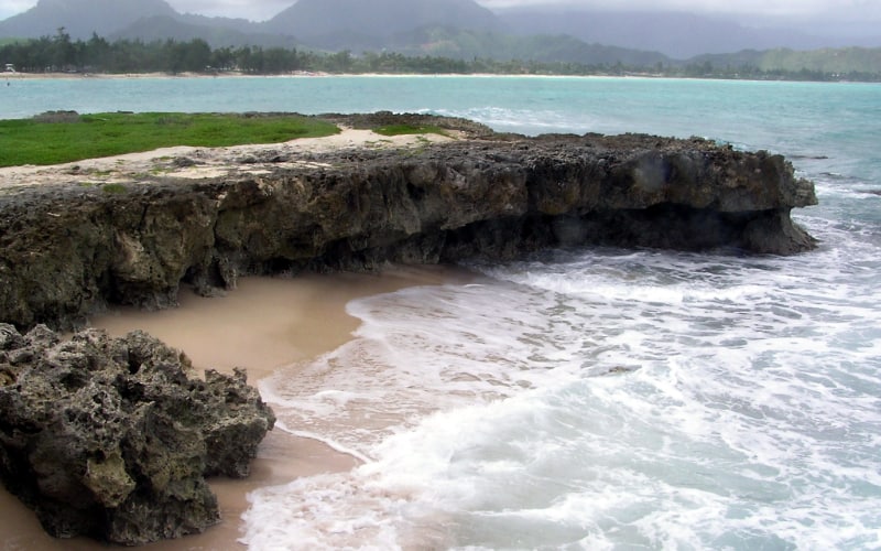 Flat Island Popoia oahu nl