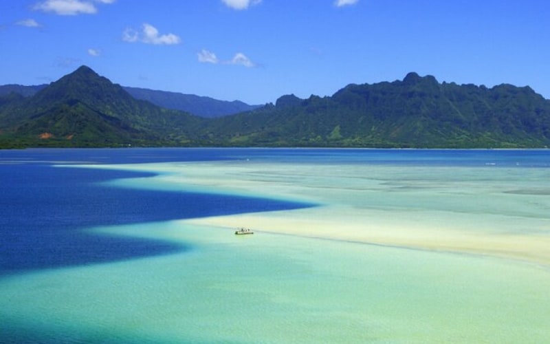 kaneohe sandbar oahu nl