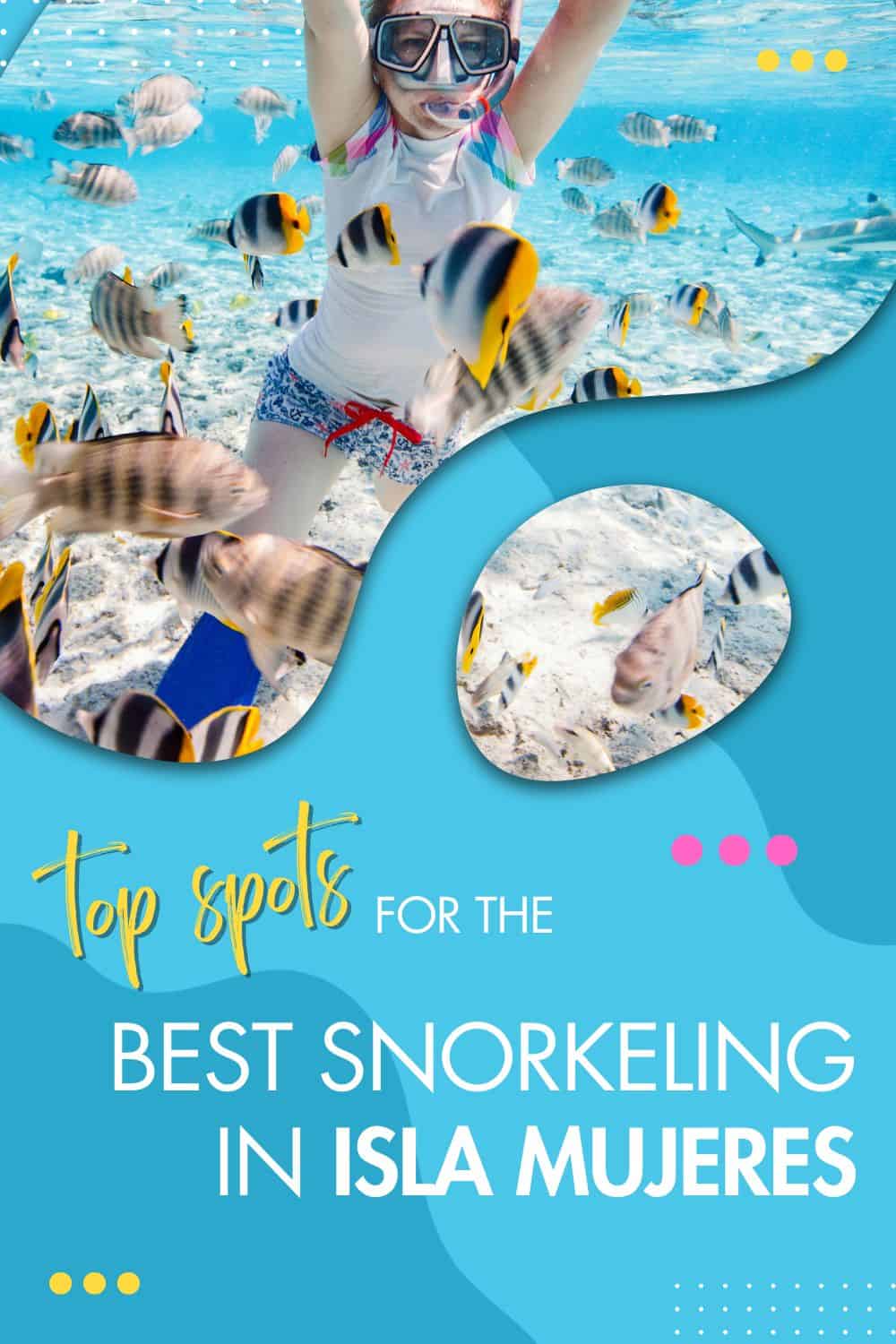 7-best-spots-to-go-snorkeling-in-isla-mujeres-2026-guide