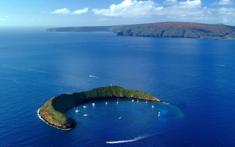 snorkeling molokini crater