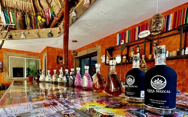 tequila hotel tequila tours