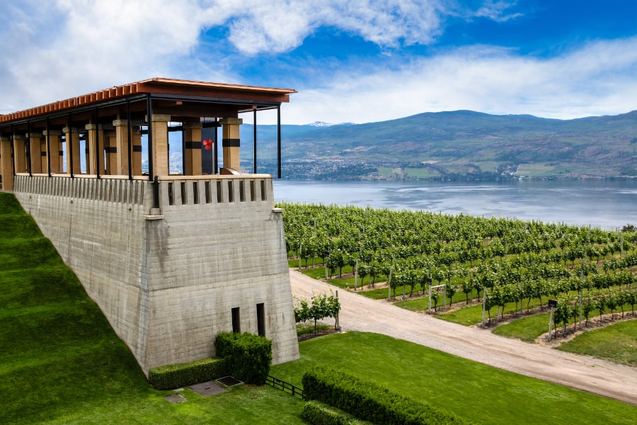 Winery Vineyard in Kelowna British Columbia