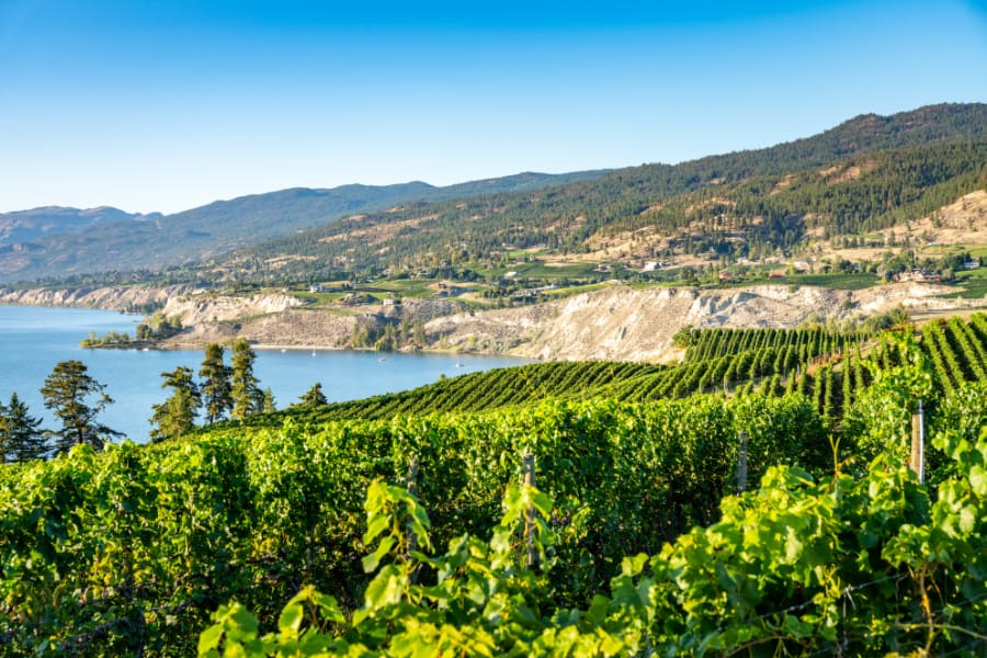 Okanagan wine country in Western Canada