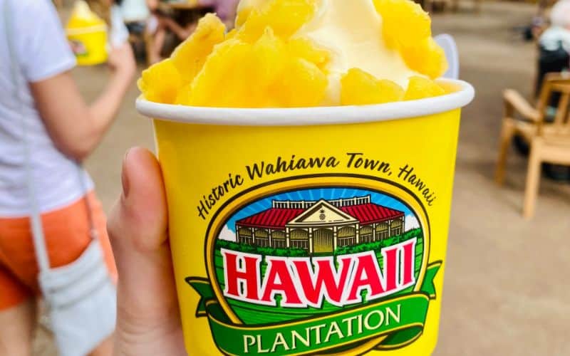 Dole whip on the Dole plantation in Oahu