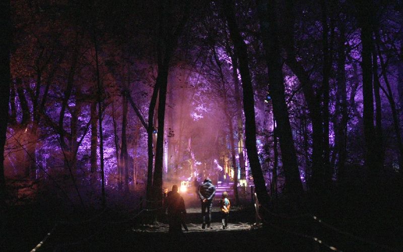 Harry Potter A Forbidden Forest Experience