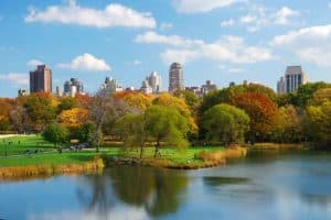 New York City central park during fall