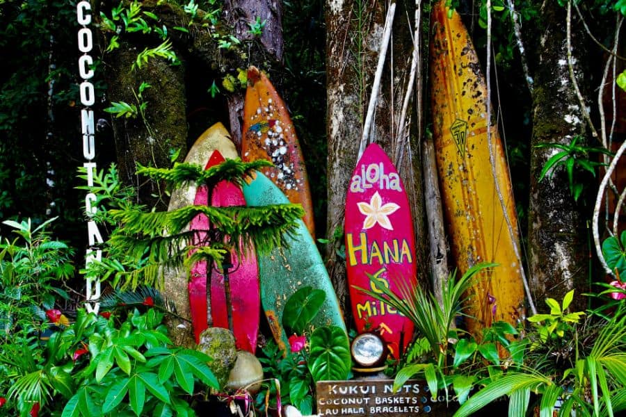 Surfboards on the Road to Hana sp