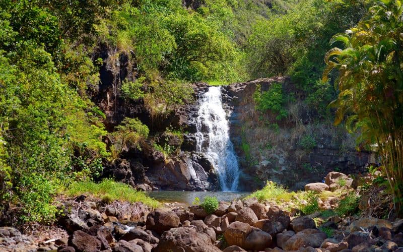 Waimea Falls tropical waterfall in Waimea Valley park on Oahu