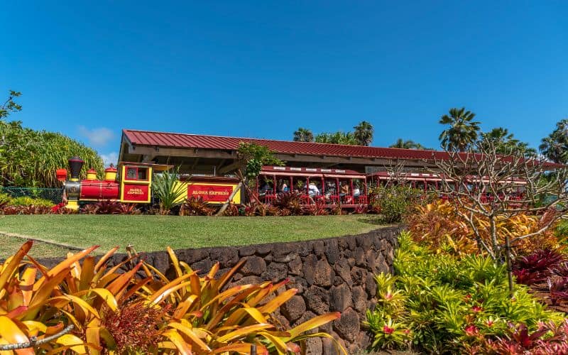 dole plantation tourist train oahu