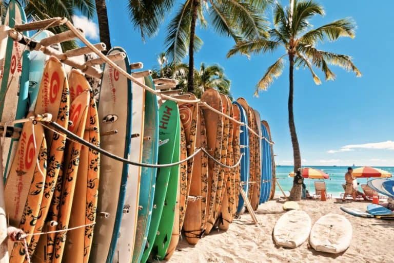 surf boards lined up in Honolulu beach