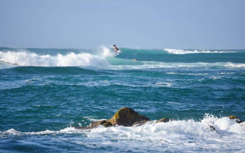 surfing in north shore oahu hawaii sp