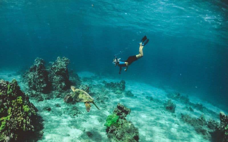 underwater snorkeling maui hawaii sp