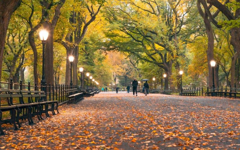 Autum in Central Park New York City