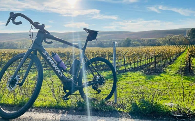 Napa's Hidden Gems 20 Fun Activities in Downtown (2023)