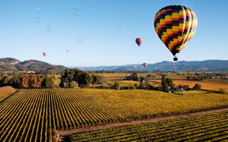 hot air balloons over napa valley