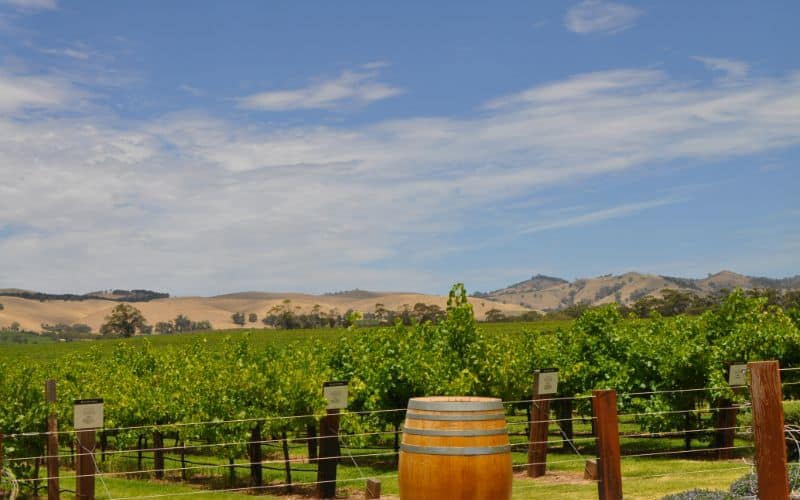 Barossa Valley South Australia premier wine making region