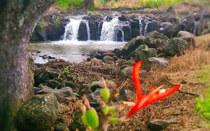 Liliuokalani Botanical Garden Waterfall