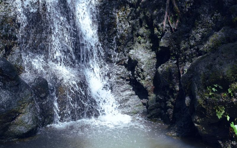 Lyon Arboretum Waterfall