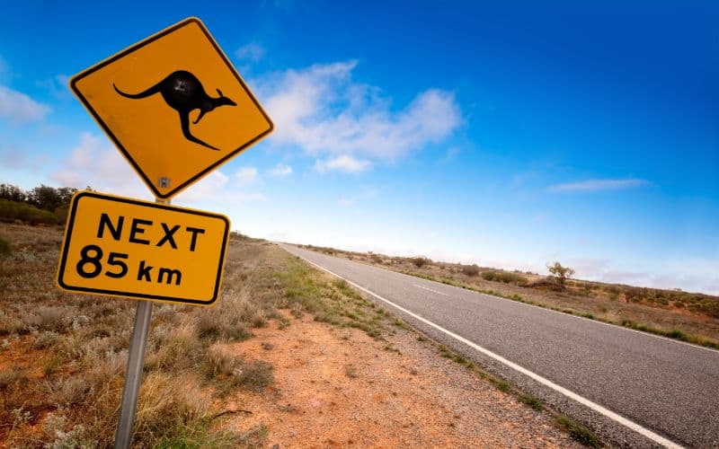 Outback Kangaroo Sign australia