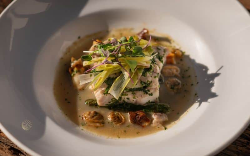 Seabass at Sunset Monalisa