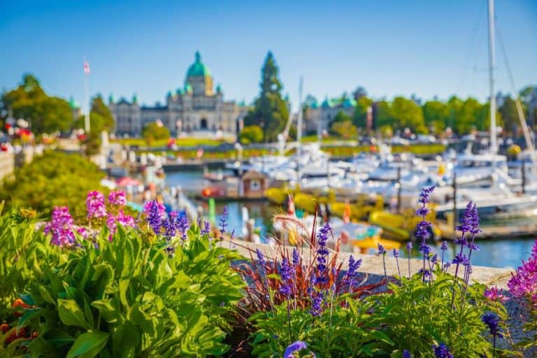 inner harbour with blooming flowers victoria bc