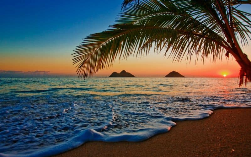 Coastline Sunrise at Lanikai Beach Hawaii