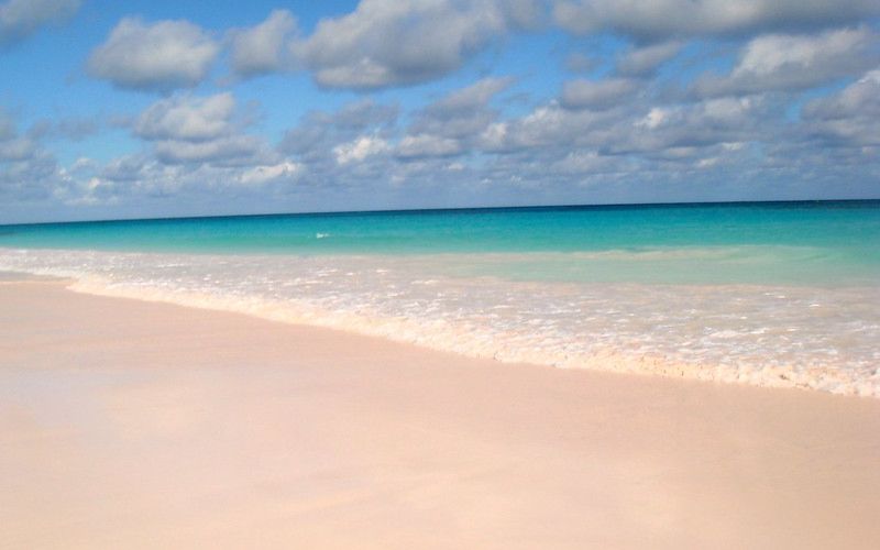 Pink Sands Beach Harbour Island Bahamas