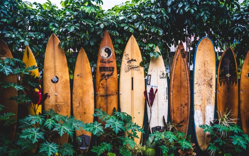 row of surfboards Kauai hawaii