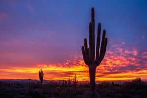 Beautiful sunset over Scottsdale AZ with saguaro cactus