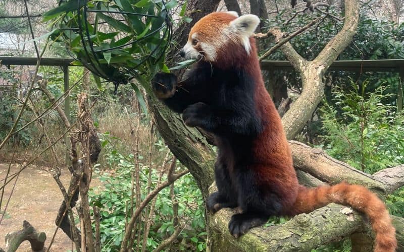Central Park Zoo