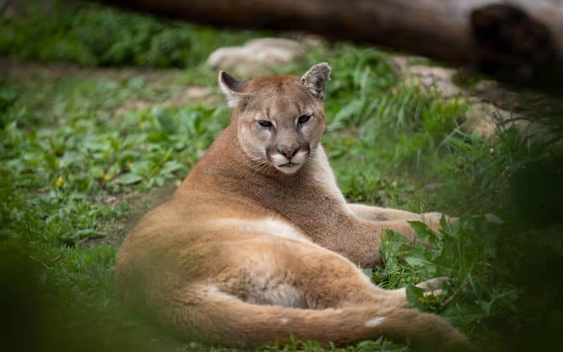 Columbus Zoo and Aquarium