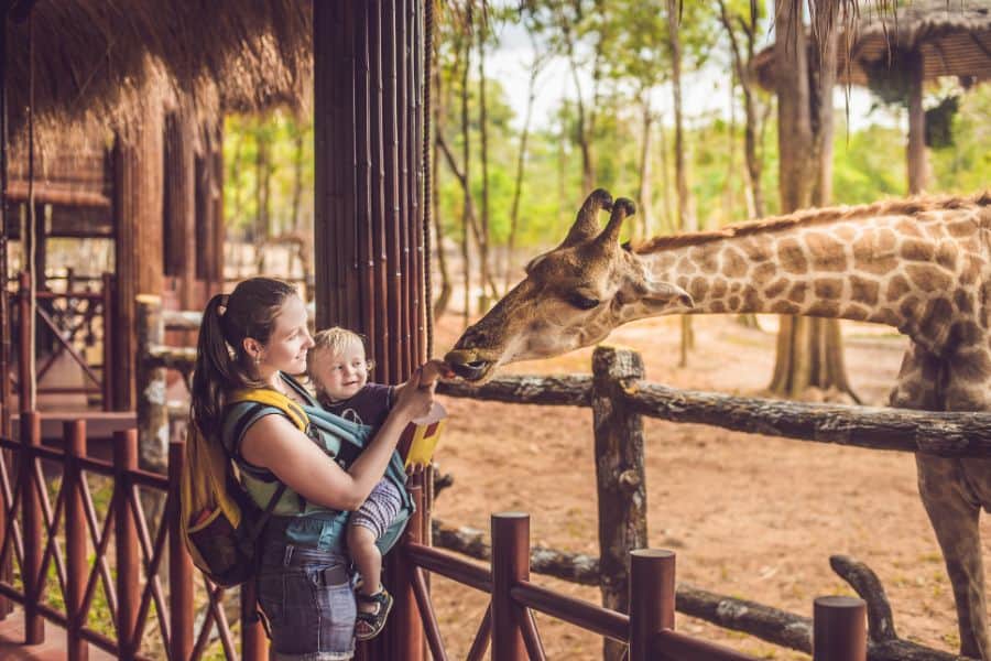 Happy mother and son watching and feeding giraffe in zoo