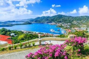 gorgeous view of st thomas usvi with flowers blooming