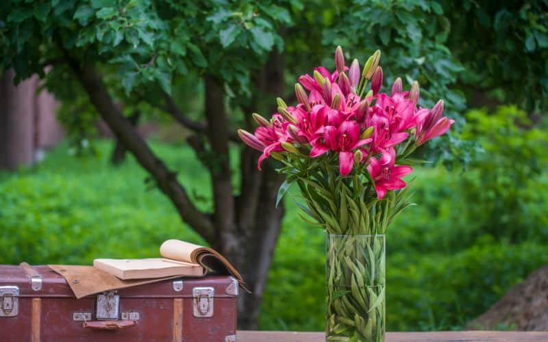 Beautiful bouquet of red lily flowers with suitcase