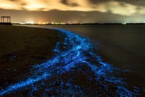 Bio luminescence Illumination of plankton at Maldives