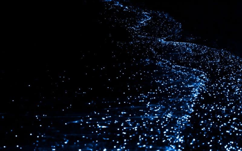 Illumination of plankton at Maldives