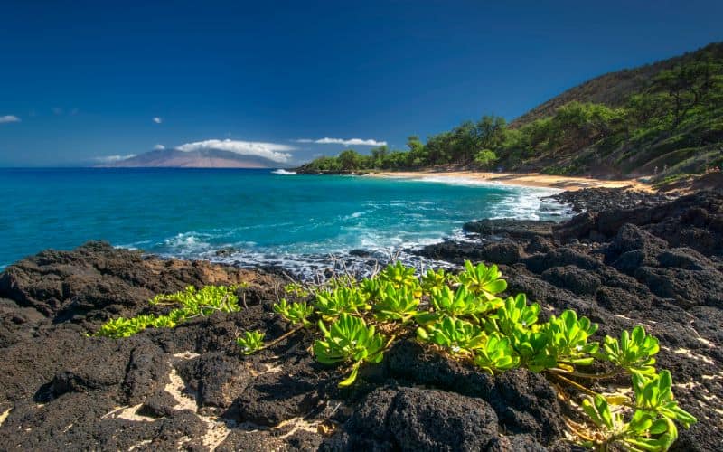 Little Beach in Makena State Park Maui HI