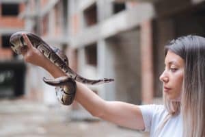 Young woman holding a python snake in urban environment