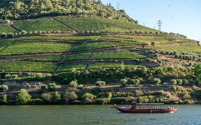 tour boat Douro river