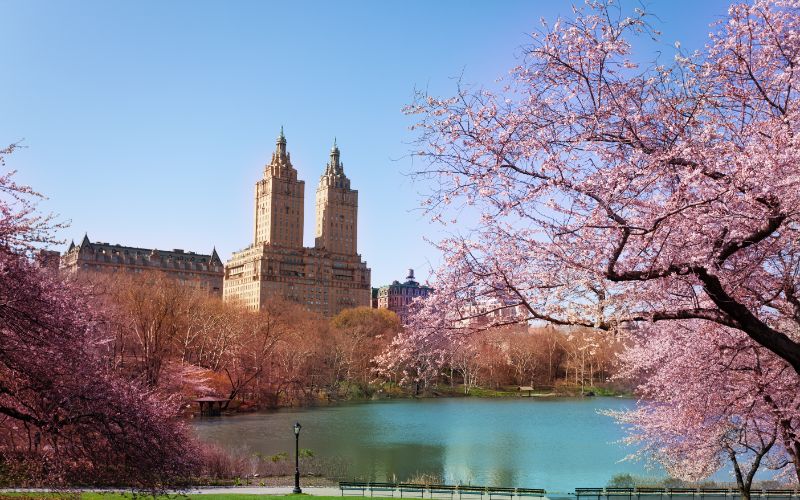 New York City Central Park in Spring