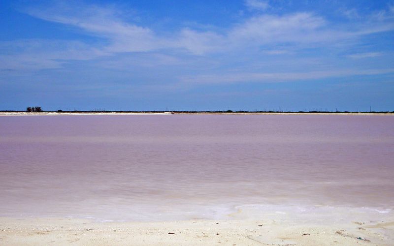 Las Coloradas Pink Lake