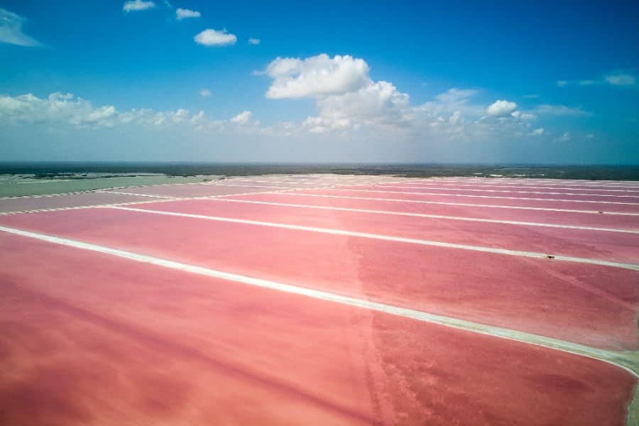 Las Coloradas Pink lake Mexico