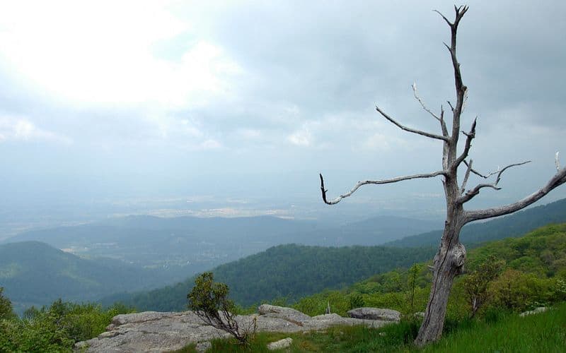 Skyline Drive VA