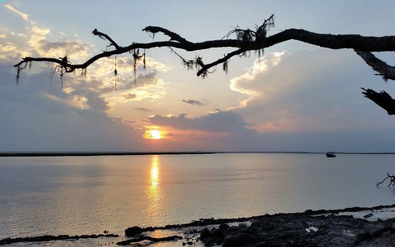 cumberland island