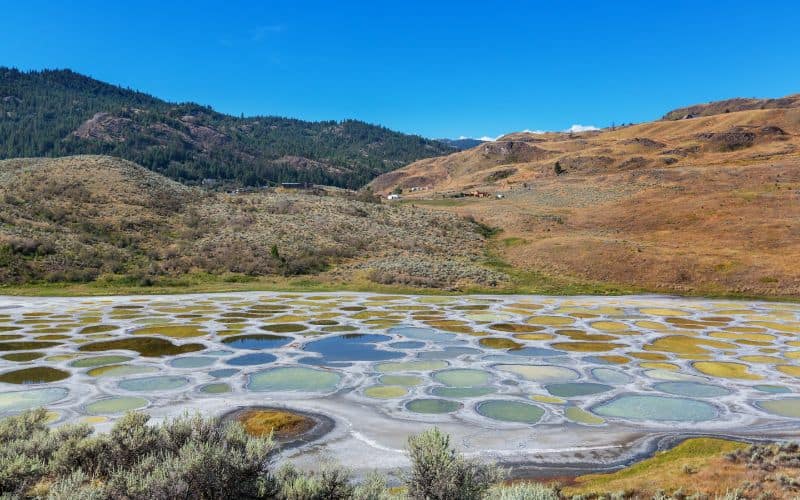 Spotted lake British Columbia Canada