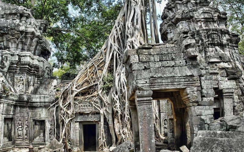 ta prohm cambodia